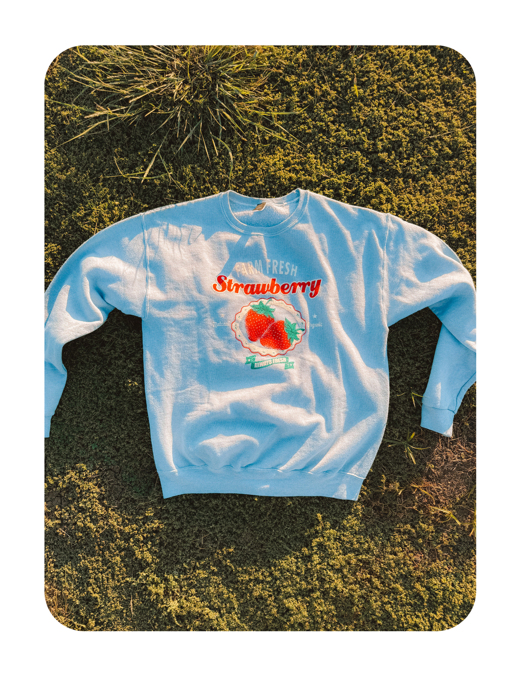 FARM FRESH STRAWBERRY CREWNECK