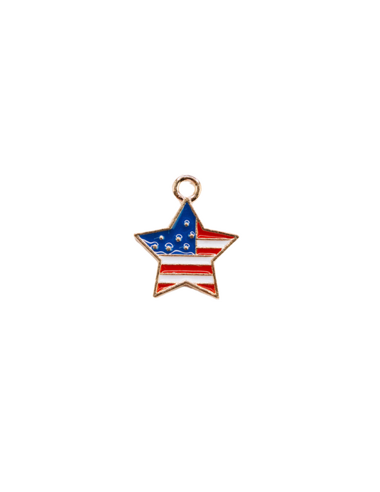 USA CHARM