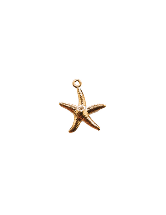 GOLD STAR FISH CHARM