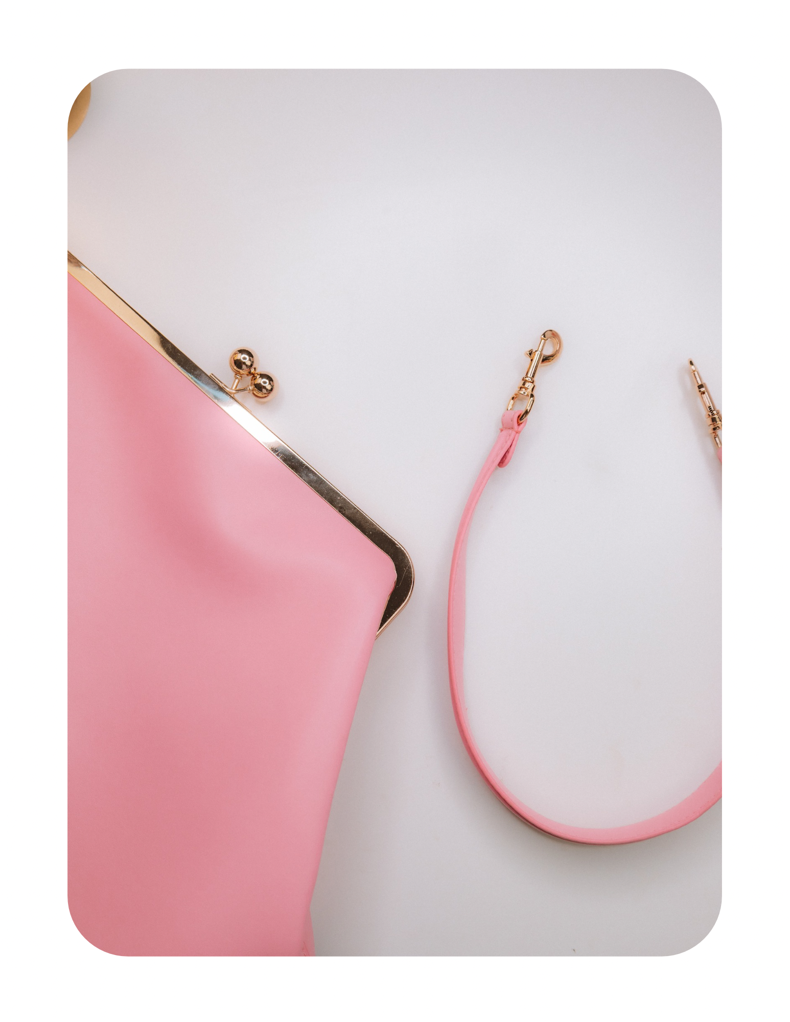 CUTIE CARRYALL 👛