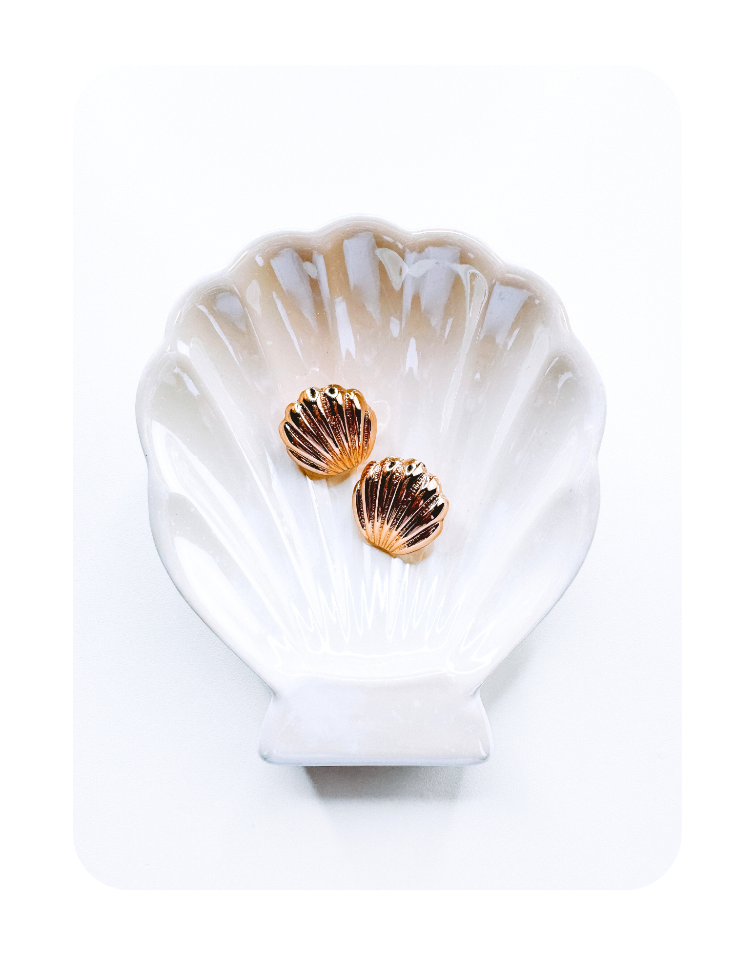 SEA SHELL EARRINGS 🐚